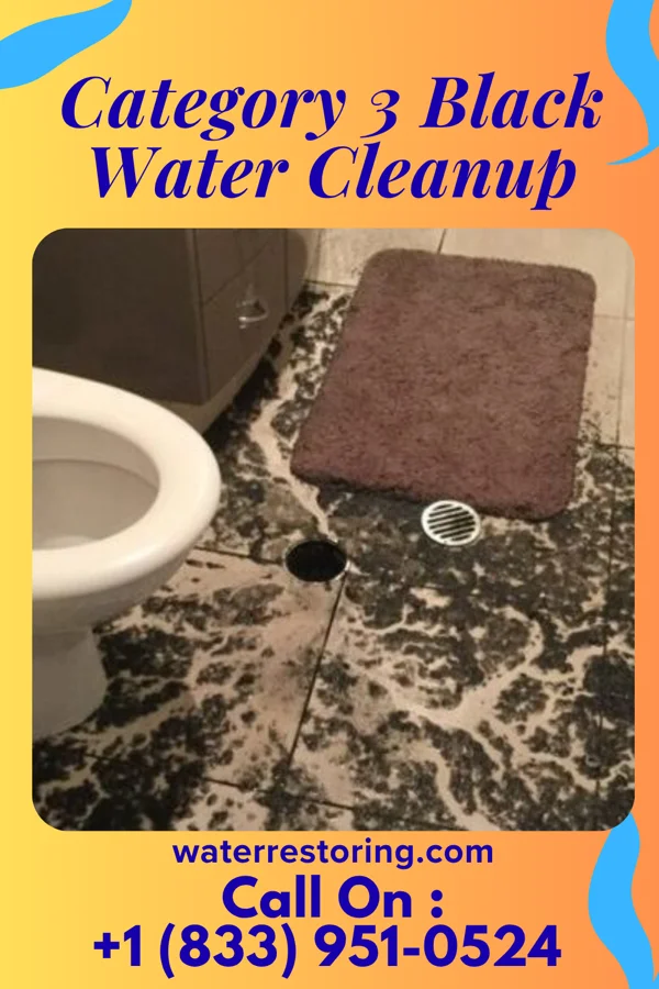 Category 3 Black Water Cleanup in Dripping Springs, AZ